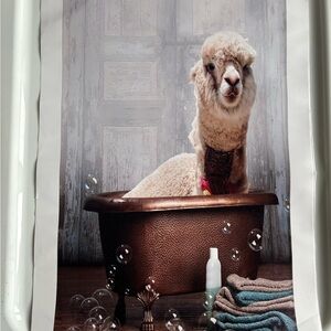 Alpaca Bath Art Print